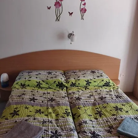 Apartman Pri Starom Dube Apartment